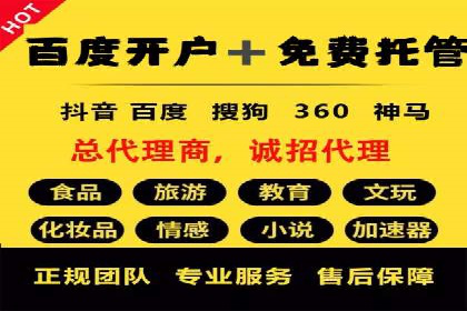 SEM广告投放的精准定位与优化案例